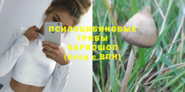 бошки Гусь-Хрустальный