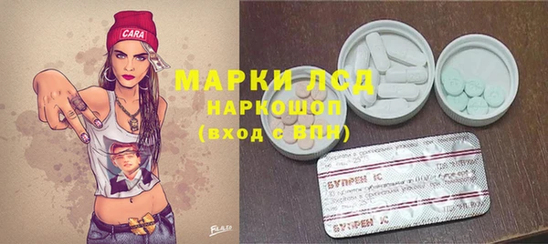 стафф Горнозаводск