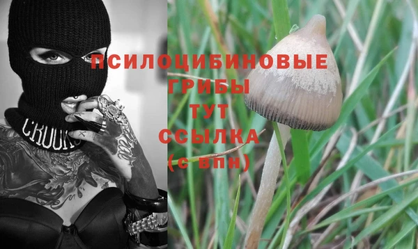 гашиш Гусев