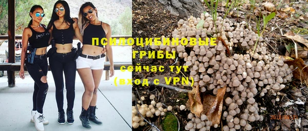 бошки Гусь-Хрустальный