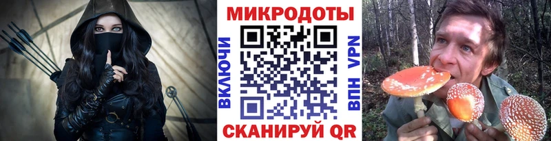 Купить закладки  Павловский Посад  Псилоцибиновые грибы GOLDEN TEACHER 
