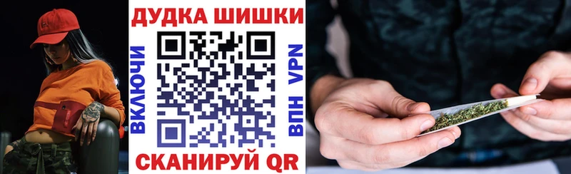 Купить  Павловский Посад  Каннабис план 